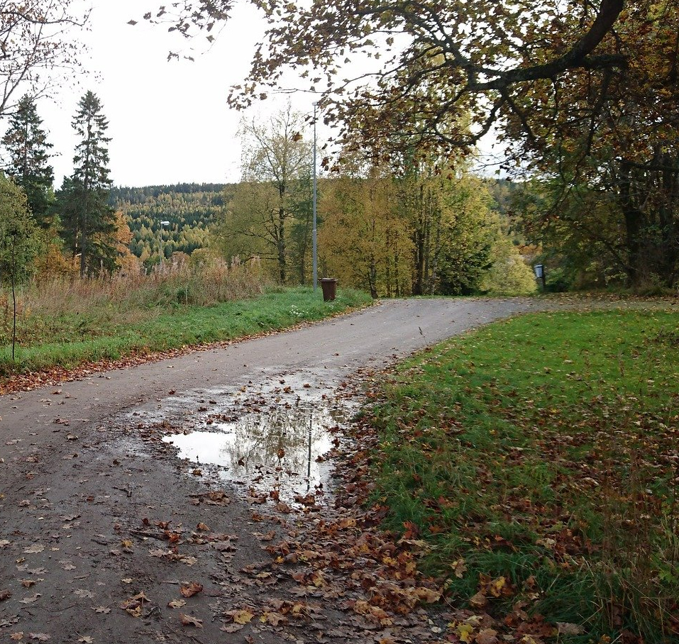 lane and puddle after rain
