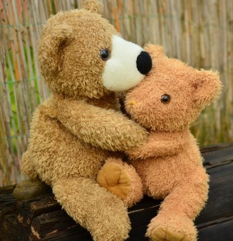 This image has an empty alt attribute; its file name is teddy-hugs-1-990x1024.jpg