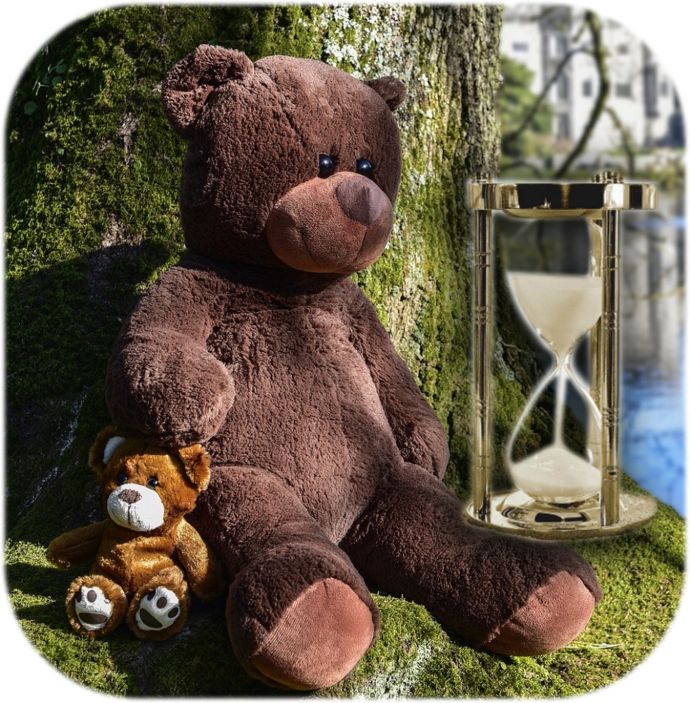 bear and sand timer